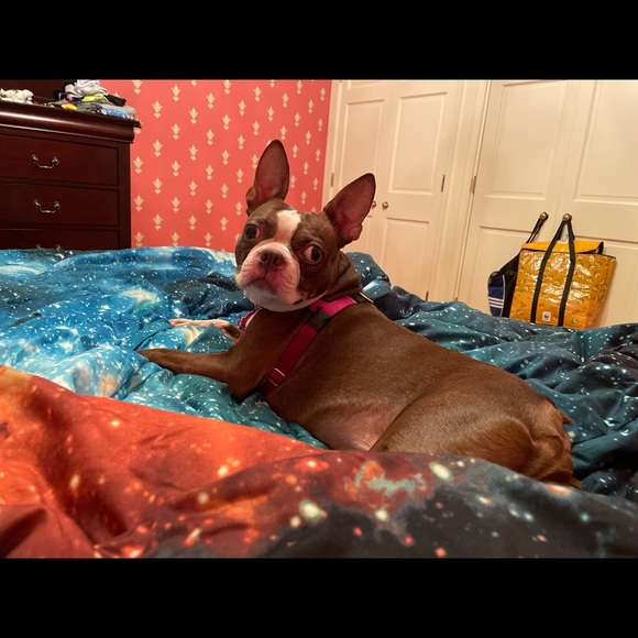 Meet your Posher, Amanda - Picture 3 of 8